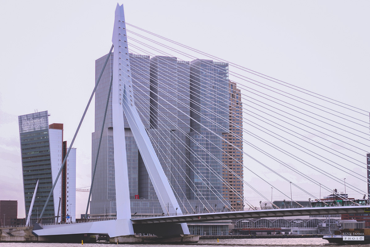 Jembatan Erasmusbrug, Rotterdam