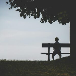 person sitting on bench under tree